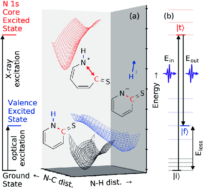 Dynamics on excited-state potential energy surfaces (PES)